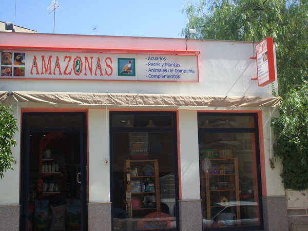 AMAZONA