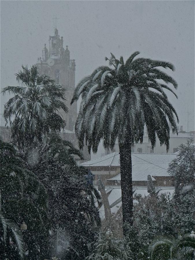 Imágenes de Almendralejo 1950-2020