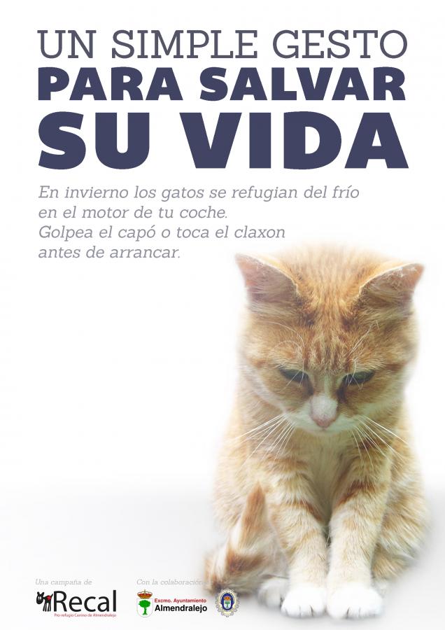 RECAL GATOS