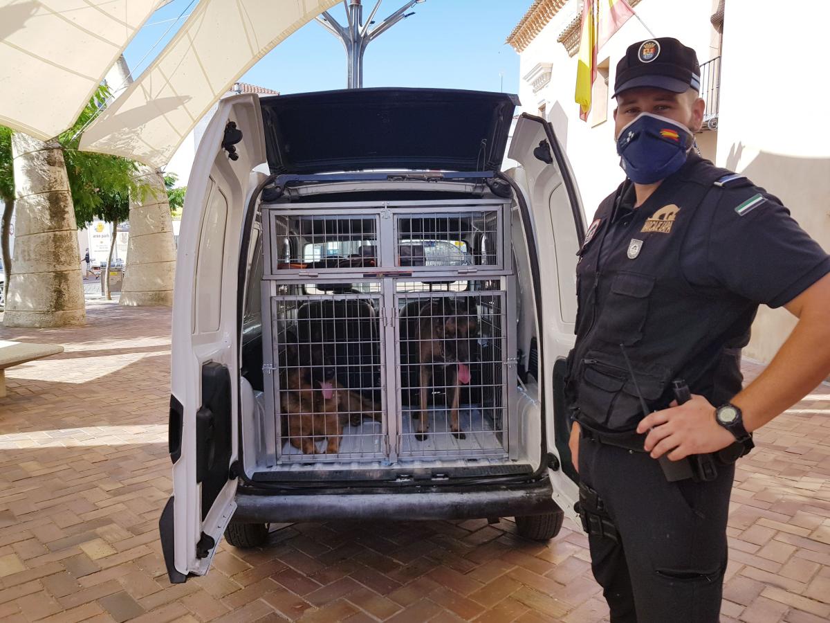 La Unidad Canina formada por Cohete y Kay refuerzan la plantilla de la Policía Local