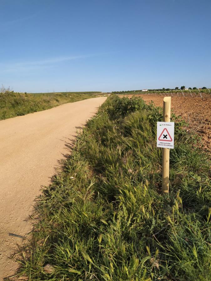 La Concejalía de Salud presenta una Ruta Prehistórica de 10 kilómetros