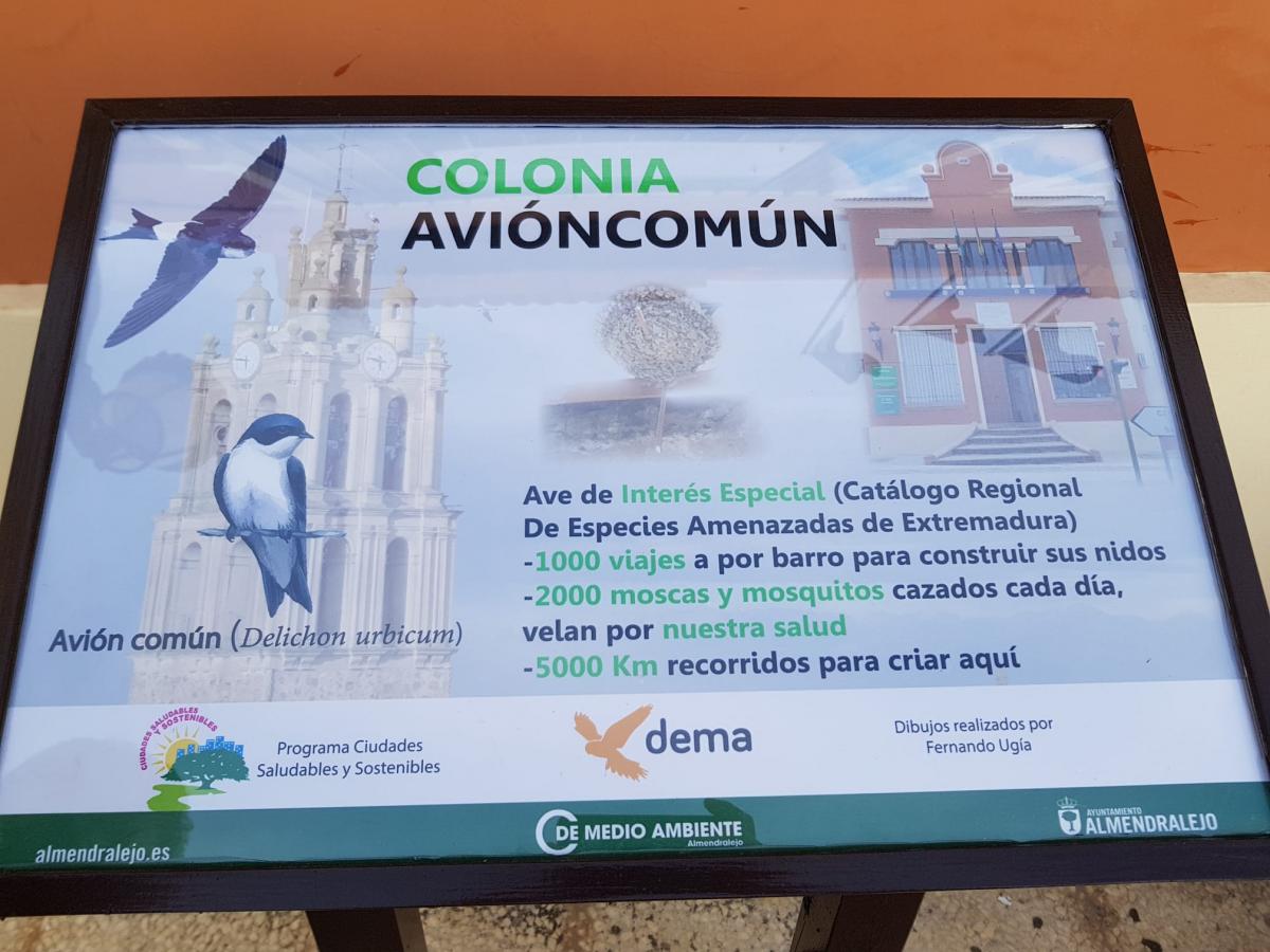 Medio Ambiente instala paneles informativos sobre el Avión Común