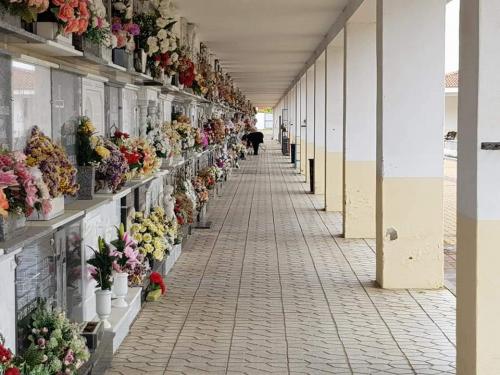 Cementerio establece un dispositivo municipal de cara a la festividad de Todos los Santos y Difuntos