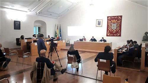 El Pleno aprueba por unanimidad la concesión de las Medallas de Almendralejo a las Amas de Casa y el Rallye de la Vendimia