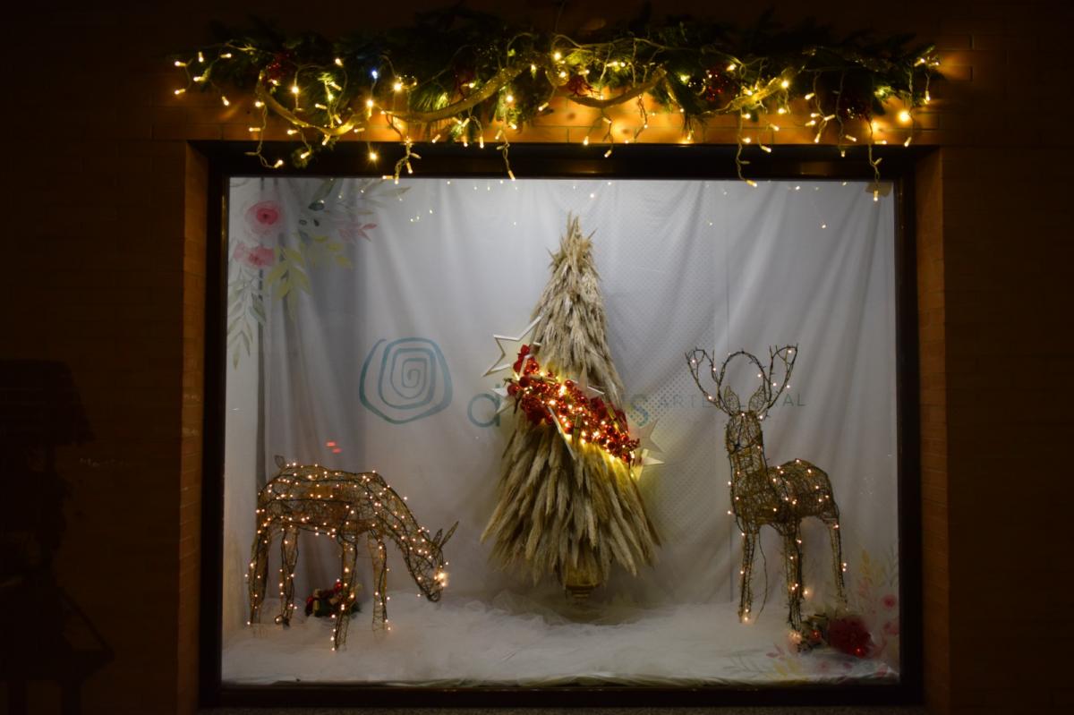 Flostería Maribel gana el concurso de escaparates de Navidad