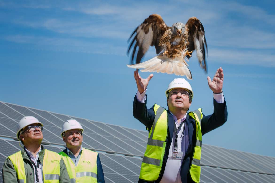 El alcalde asiste a la inauguración de la planta fotovoltaica 