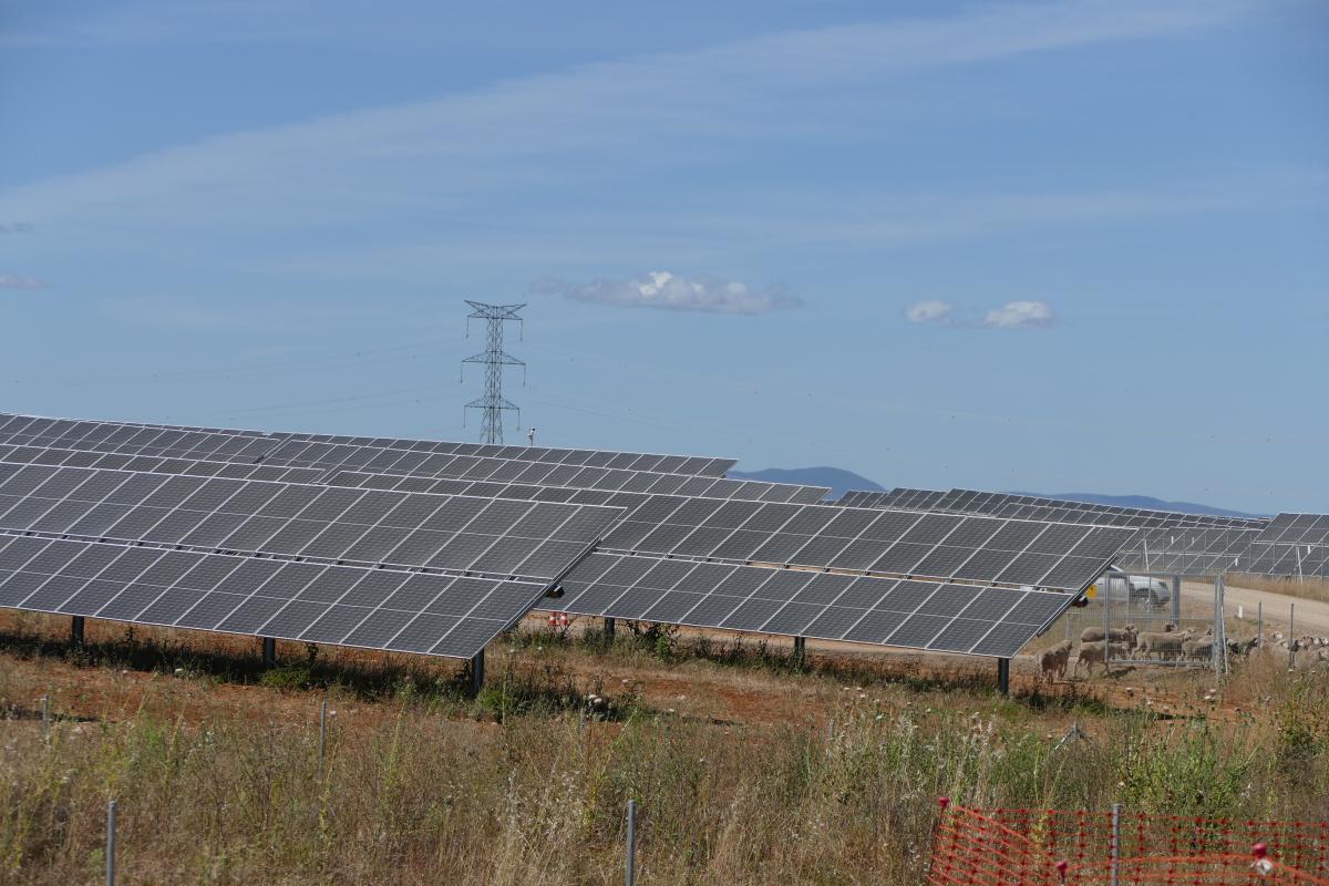 El alcalde asiste a la inauguración de la planta fotovoltaica 