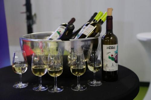 El Museo de las Ciencias del Vino convoca su tradicional concurso de los Vinos del Museo